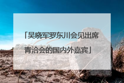 吴晓军罗东川会见出席青洽会的国内外嘉宾