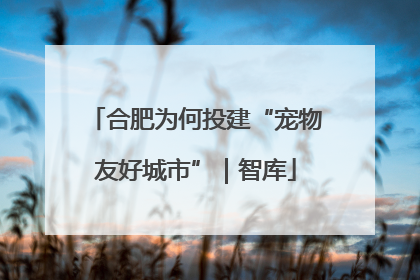 合肥为何投建“宠物友好城市”｜智库