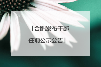 合肥发布干部任前公示公告