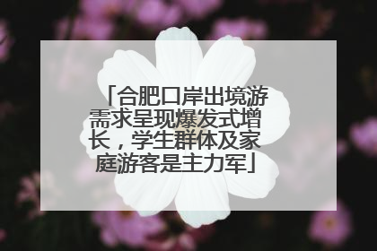 合肥口岸出境游需求呈现爆发式增长，学生群体及家庭游客是主力军