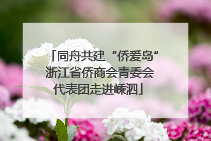 同舟共建“侨爱岛” 浙江省侨商会青委会代表团走进嵊泗