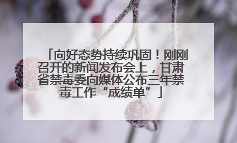 向好态势持续巩固！刚刚召开的新闻发布会上，甘肃省禁毒委向媒体公布三年禁毒工作“成绩单”
