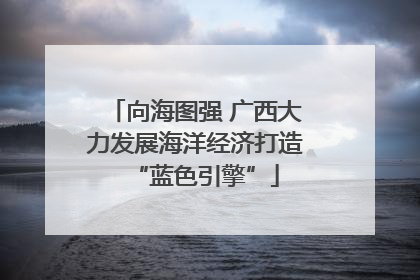 向海图强 广西大力发展海洋经济打造“蓝色引擎”