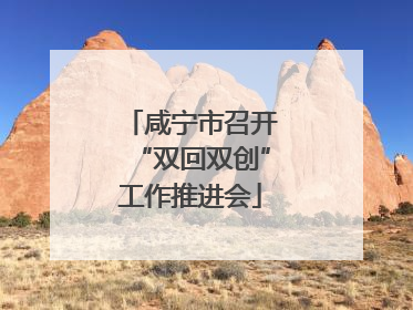 咸宁市召开“双回双创”工作推进会