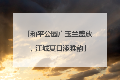 和平公园广玉兰盛放，江城夏日添雅韵