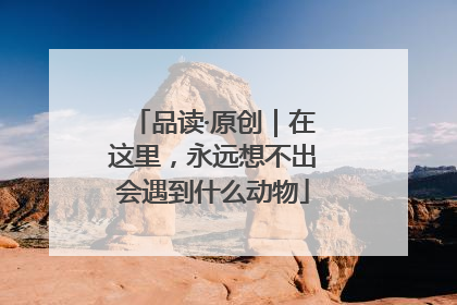 品读·原创｜在这里，永远想不出会遇到什么动物