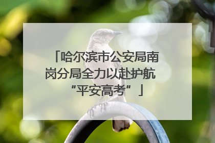 哈尔滨市公安局南岗分局全力以赴护航“平安高考”