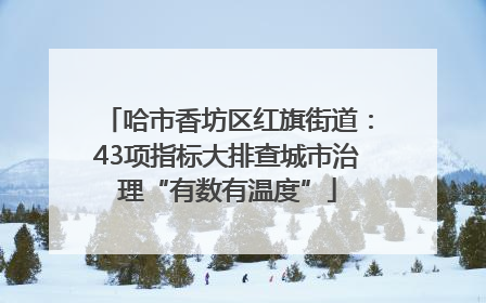 哈市香坊区红旗街道：43项指标大排查城市治理“有数有温度”
