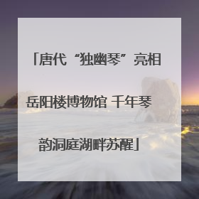 唐代“独幽琴”亮相岳阳楼博物馆 千年琴韵洞庭湖畔苏醒