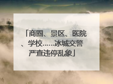 商圈、景区、医院、学校……冰城交警严查违停乱象