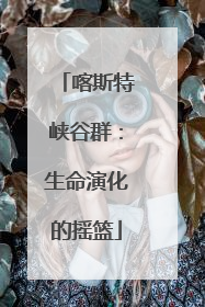 喀斯特峡谷群：生命演化的摇篮