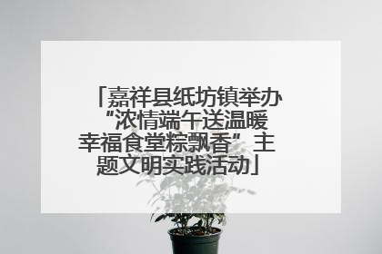 嘉祥县纸坊镇举办“浓情端午送温暖 幸福食堂粽飘香”主题文明实践活动