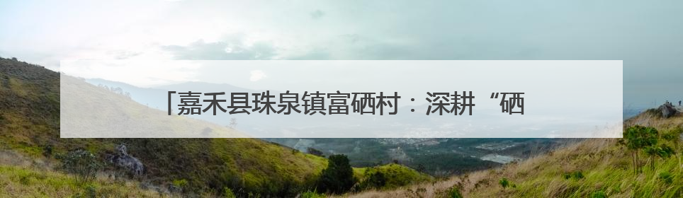 嘉禾县珠泉镇富硒村：深耕“硒”望田野 激活乡村振兴新动能