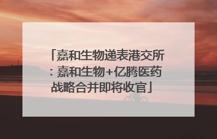 嘉和生物递表港交所：嘉和生物+亿腾医药战略合并即将收官