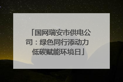 国网瑞安市供电公司：绿色同行添动力 低碳赋能环境日