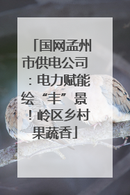 国网孟州市供电公司：电力赋能绘“丰”景！岭区乡村果蔬香