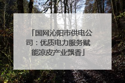 国网沁阳市供电公司：优质电力服务赋能凉皮产业飘香