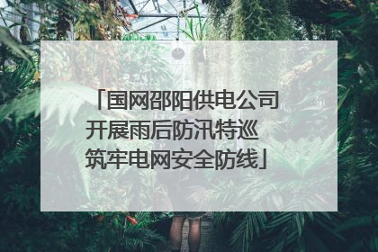 国网邵阳供电公司开展雨后防汛特巡 筑牢电网安全防线