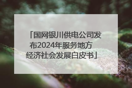 国网银川供电公司发布2024年服务地方经济社会发展白皮书