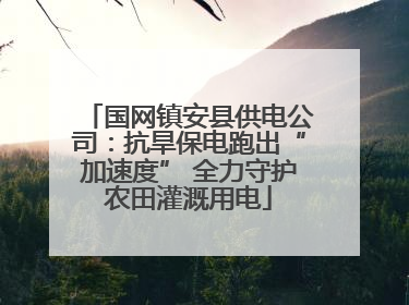 国网镇安县供电公司:抗旱保电跑出“加速度” 全力守护农田灌溉用电