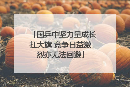 国乒中坚力量成长扛大旗 竞争日益激烈亦无法回避