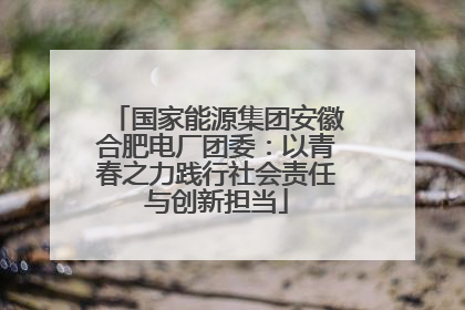 国家能源集团安徽合肥电厂团委：以青春之力践行社会责任与创新担当