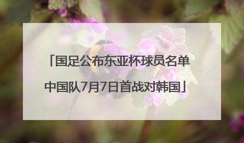 国足公布东亚杯球员名单 中国队7月7日首战对韩国