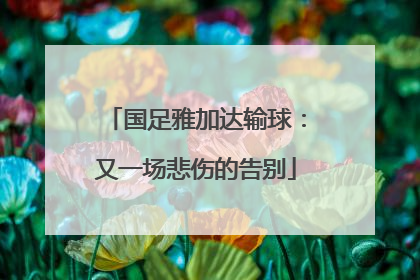 国足雅加达输球：又一场悲伤的告别