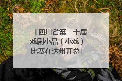 四川省第二十届戏剧小品（小戏）比赛在达州开幕