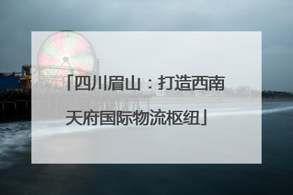 四川眉山：打造西南天府国际物流枢纽