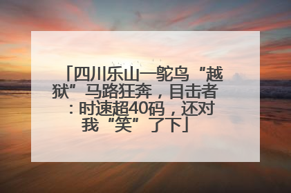 四川乐山一鸵鸟“越狱”马路狂奔，目击者：时速超40码，还对我“笑”了下