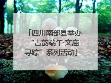 四川南部县举办“古韵端午·文庙寻踪”系列活动