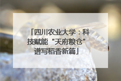 四川农业大学：科技赋能“天府粮仓”谱写稻香新篇