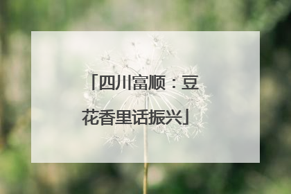 四川富顺：豆花香里话振兴