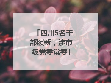 四川5名干部履新，涉市级党委常委