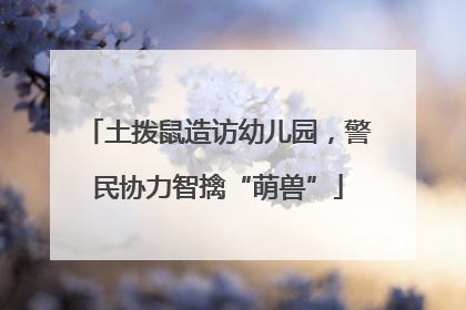 土拨鼠造访幼儿园，警民协力智擒“萌兽”