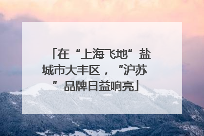 在“上海飞地”盐城市大丰区，“沪苏”品牌日益响亮