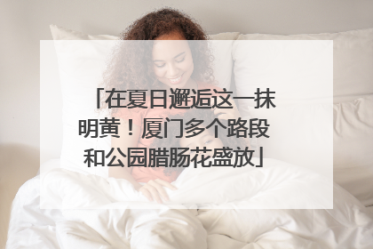 在夏日邂逅这一抹明黄！厦门多个路段和公园腊肠花盛放