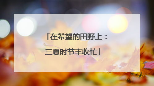 在希望的田野上：三夏时节丰收忙