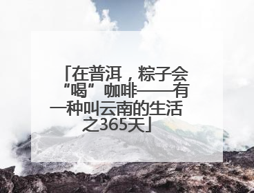 在普洱，粽子会“喝”咖啡——有一种叫云南的生活之365天