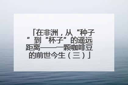 在非洲，从“种子”到“杯子”的遥远距离——一颗咖啡豆的前世今生（三）