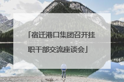 宿迁港口集团召开挂职干部交流座谈会
