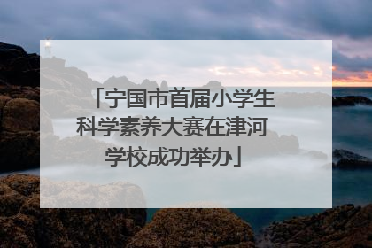 宁国市首届小学生科学素养大赛在津河学校成功举办