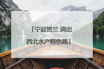 宁夏贺兰 淌出西北水产特色路