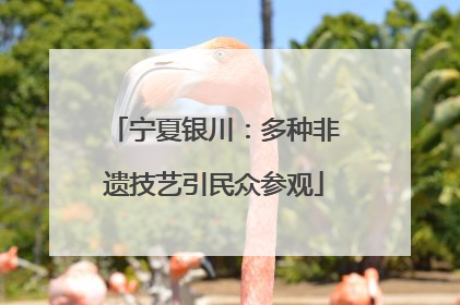 宁夏银川：多种非遗技艺引民众参观
