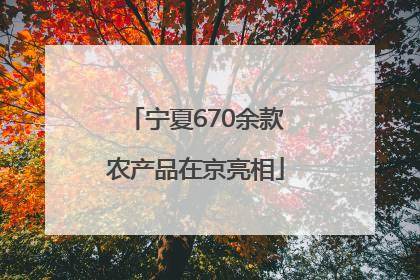 宁夏670余款农产品在京亮相