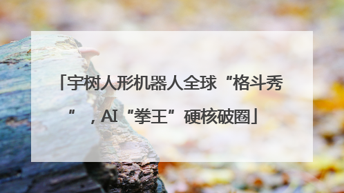 宇树人形机器人全球“格斗秀”，AI“拳王”硬核破圈