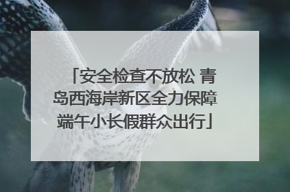 安全检查不放松 青岛西海岸新区全力保障端午小长假群众出行