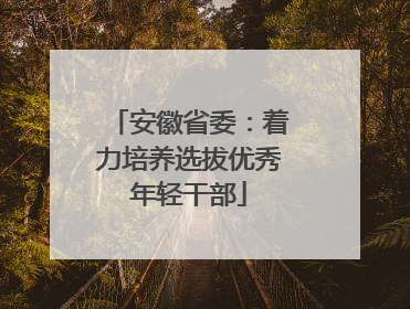 安徽省委：着力培养选拔优秀年轻干部