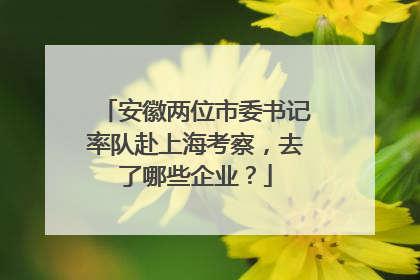 安徽两位市委书记率队赴上海考察，去了哪些企业？